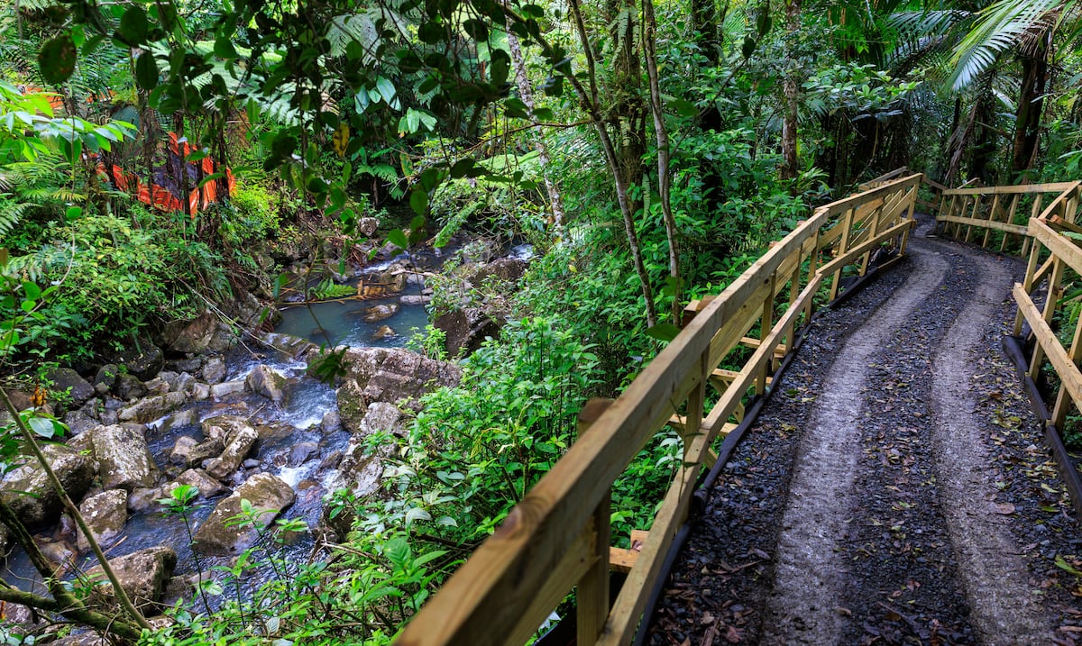 Seven destinations to enjoy and connect with the environment