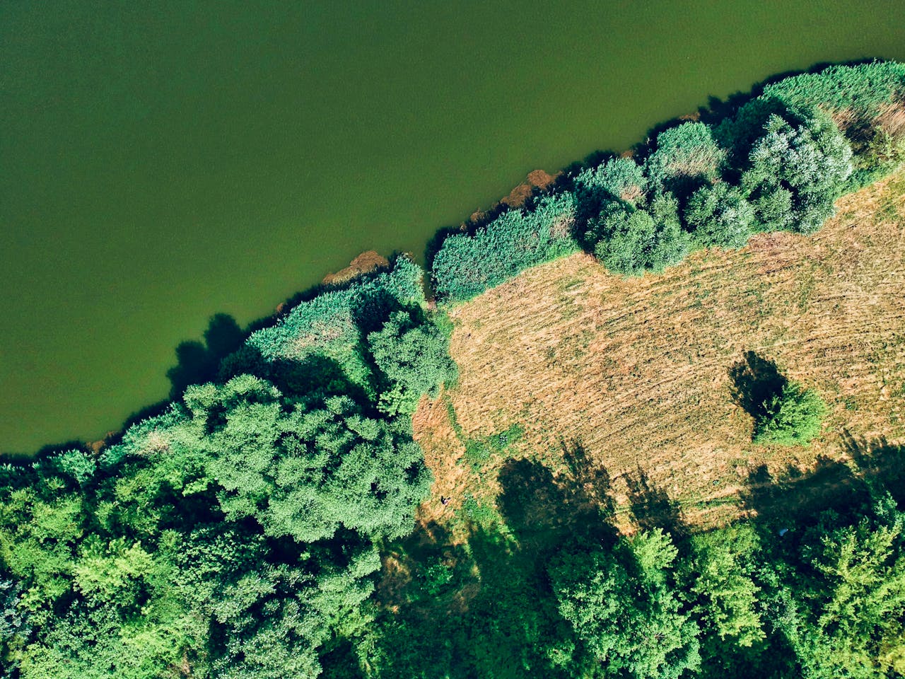 Veolia | DMMA 2026 The Earth sends signals, are we listening to them?