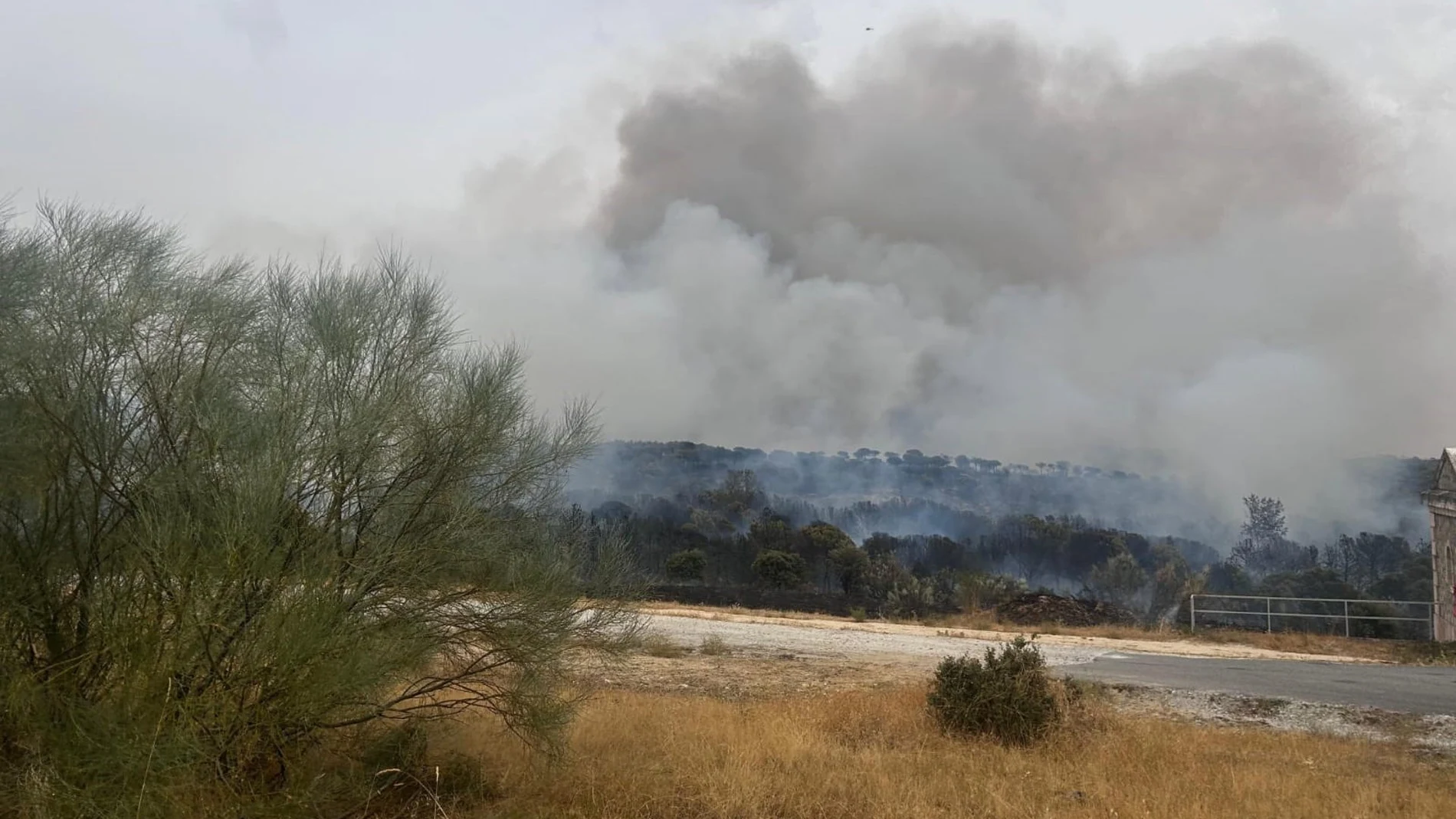Fire in Lozoyuela, live: Madrid raises it to situation 2 and asks the UME for help