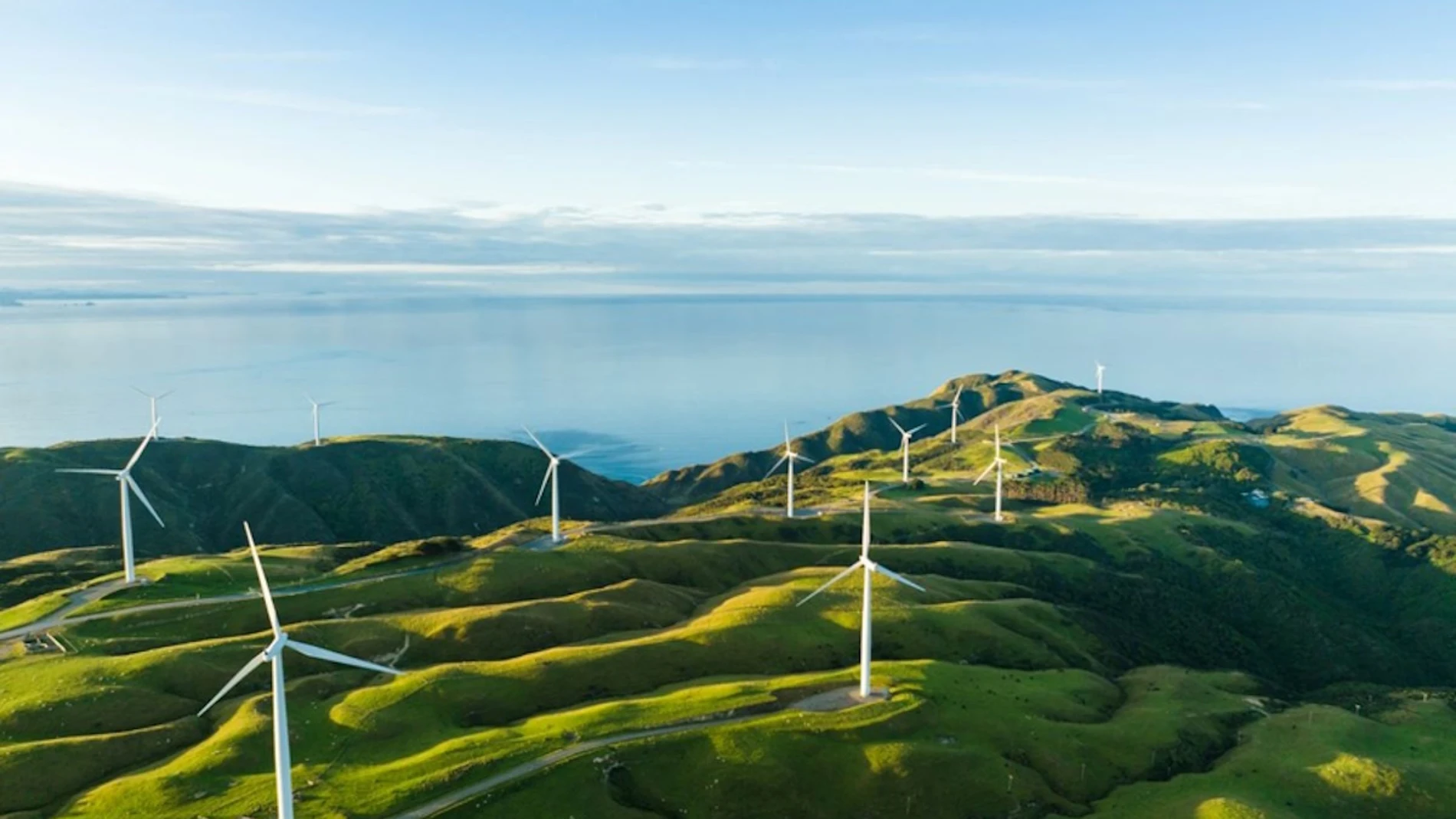 Natural capital, strategic axis for the energy sector