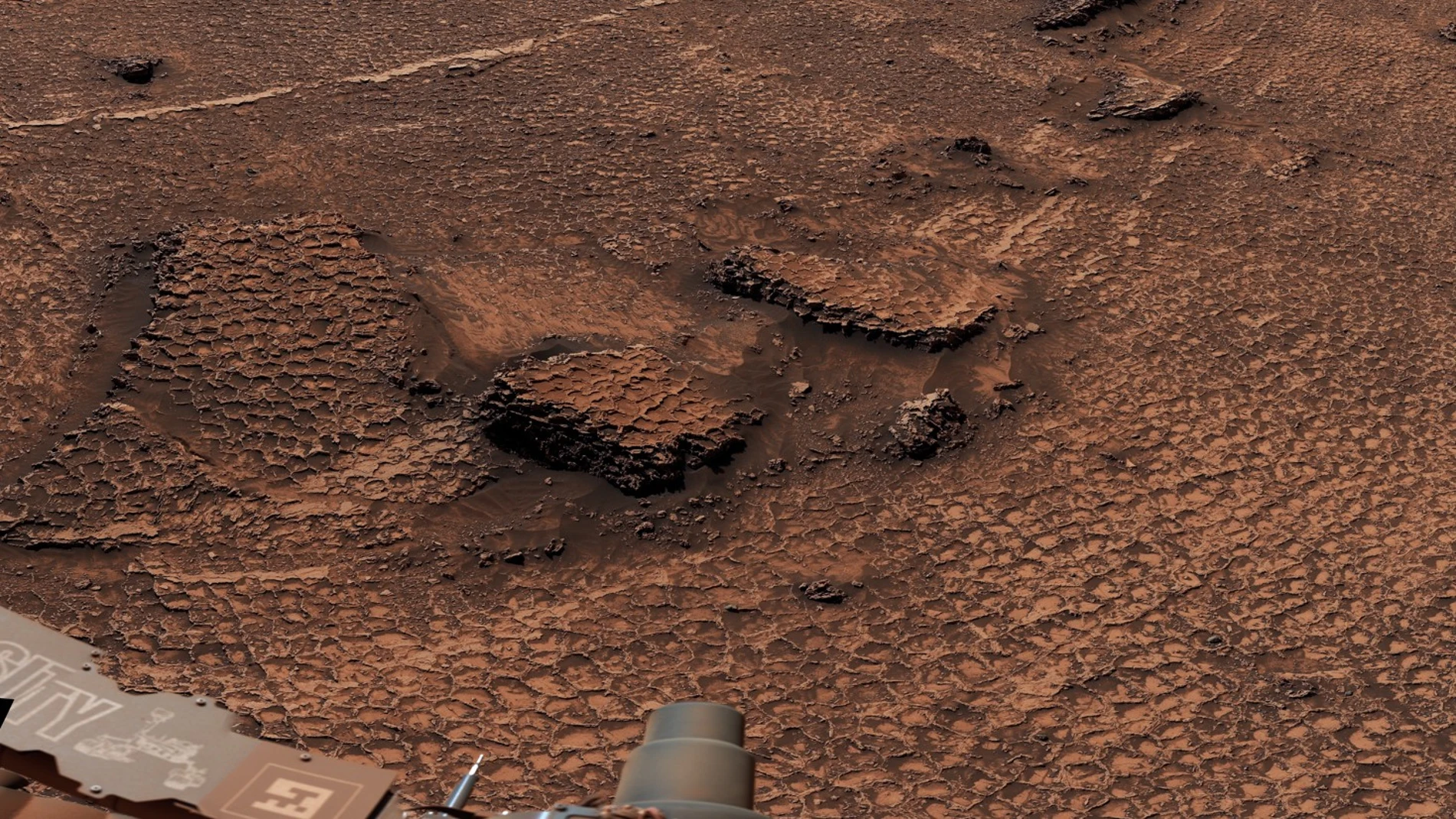 NASA discovers a honeycomb-shaped 'sea of ​​polygons' on Mars that stretches as far as the eye can see