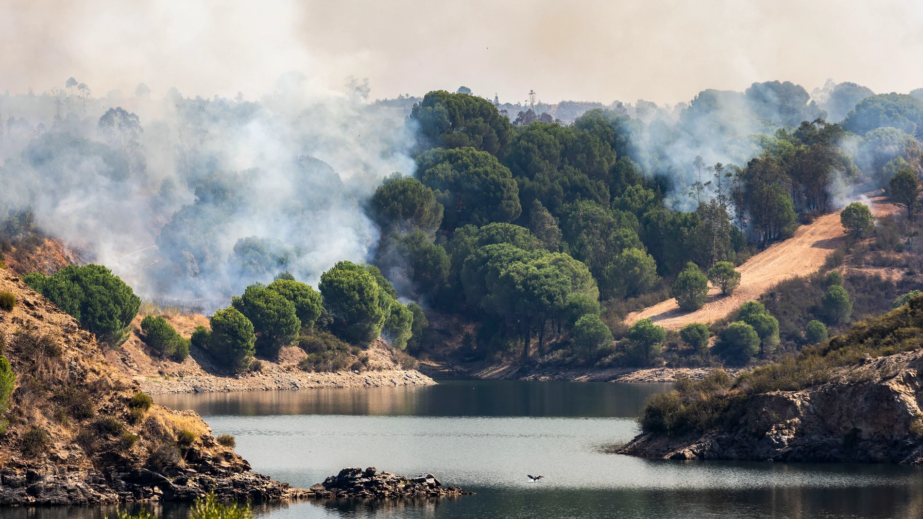 Fires in Spain today, live: last minute of the active fires in Huelva, Seville and Huesca and evacuated areas