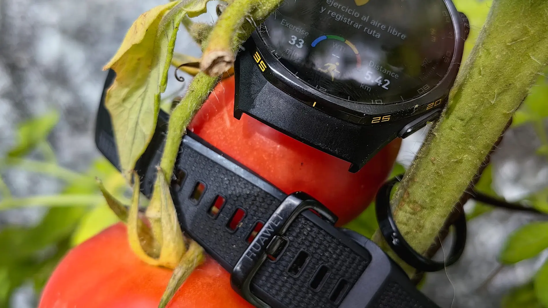 Huawei Watch GT 7, here is tomato