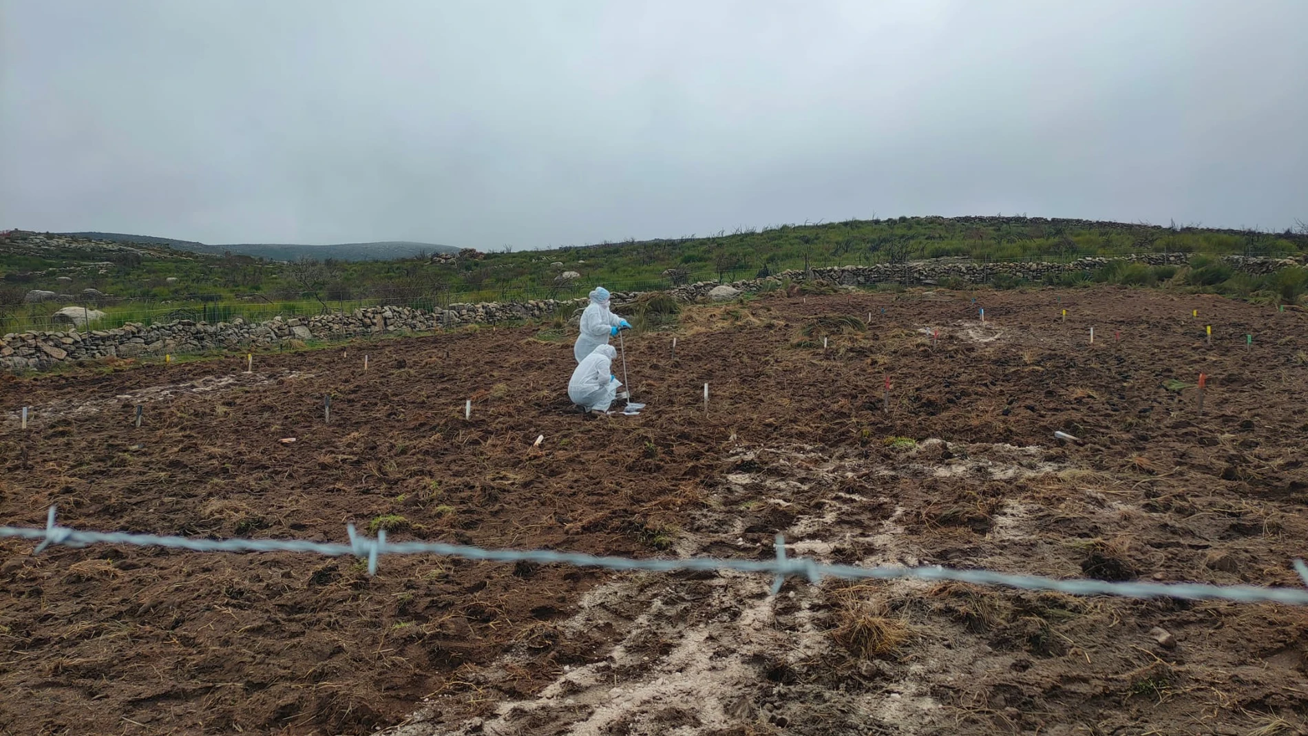 Treatment plants, a source of resources for soil recovery