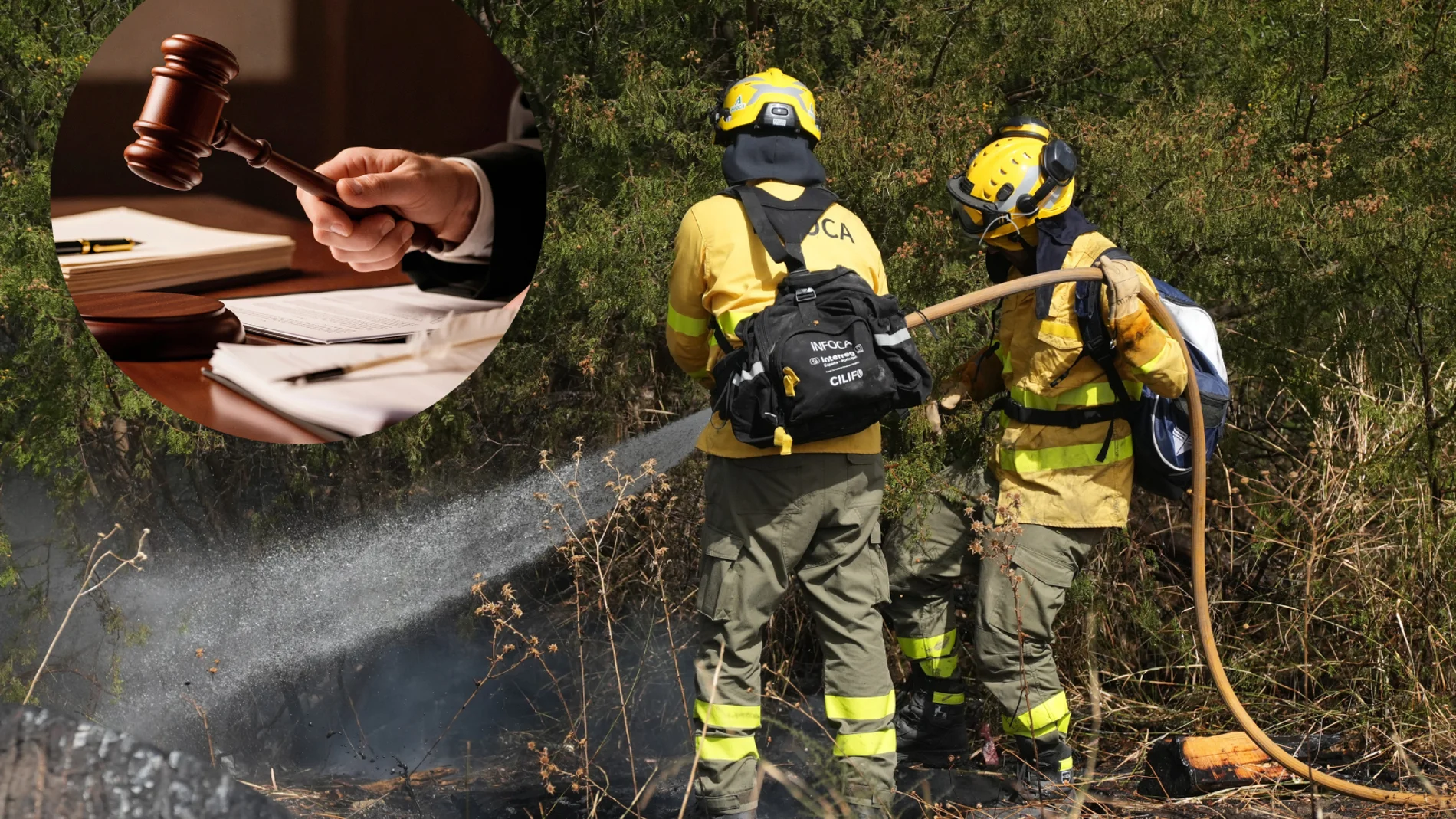 A judge recognizes a 55% pension for a forest firefighter after the INSS rejected her permanent disability due to lung problems