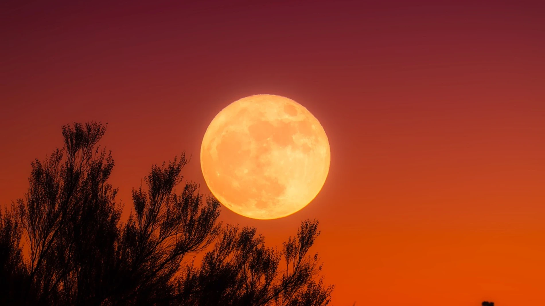 Harvest Moon 2026 in Spain: when to see it and why it may appear larger when it rises