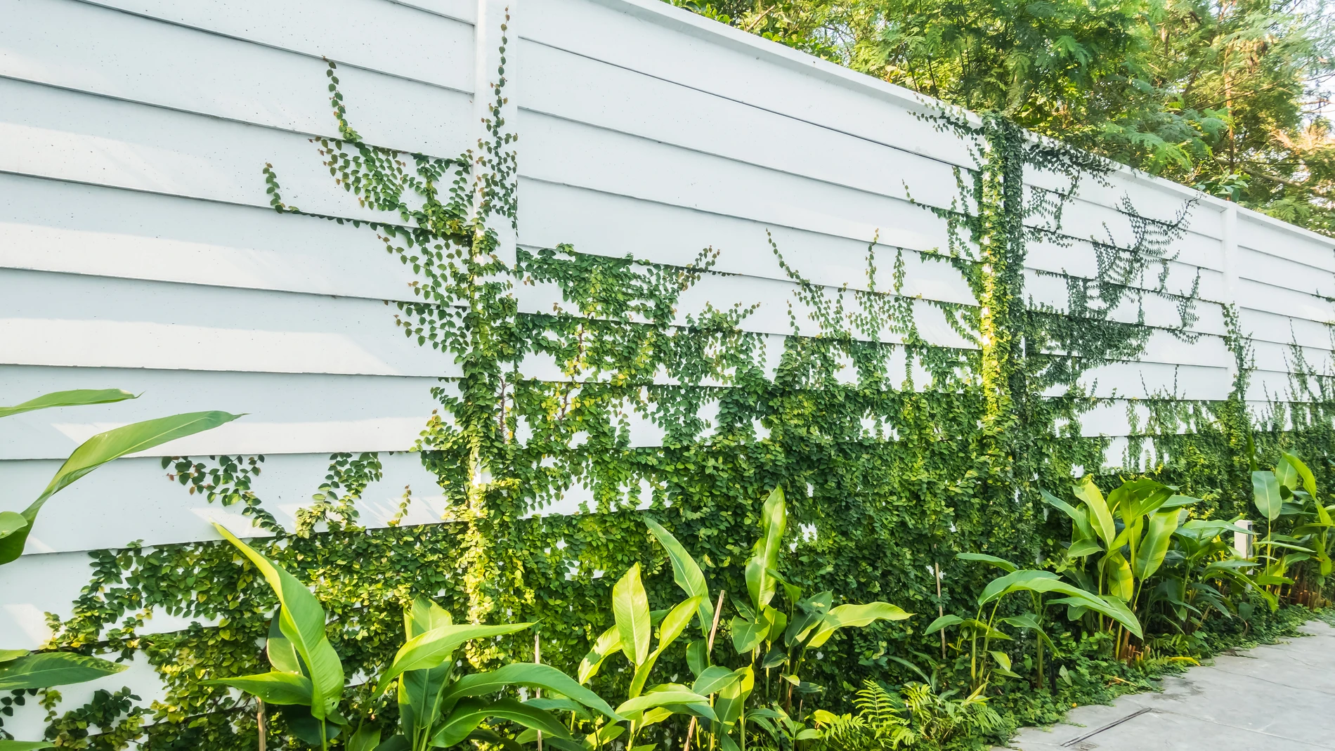He put up a fence to protect his garden from his neighbour's dog, but the council contacted him