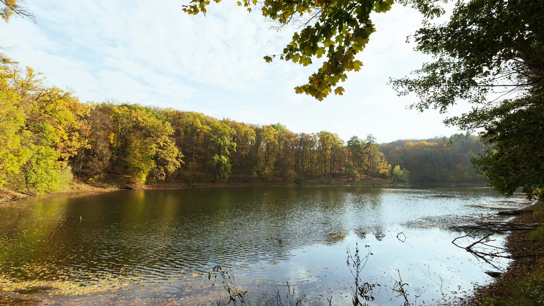 In 2001, a couple bought a landscape painting for $200; Six years later, the work was auctioned for $402,500.