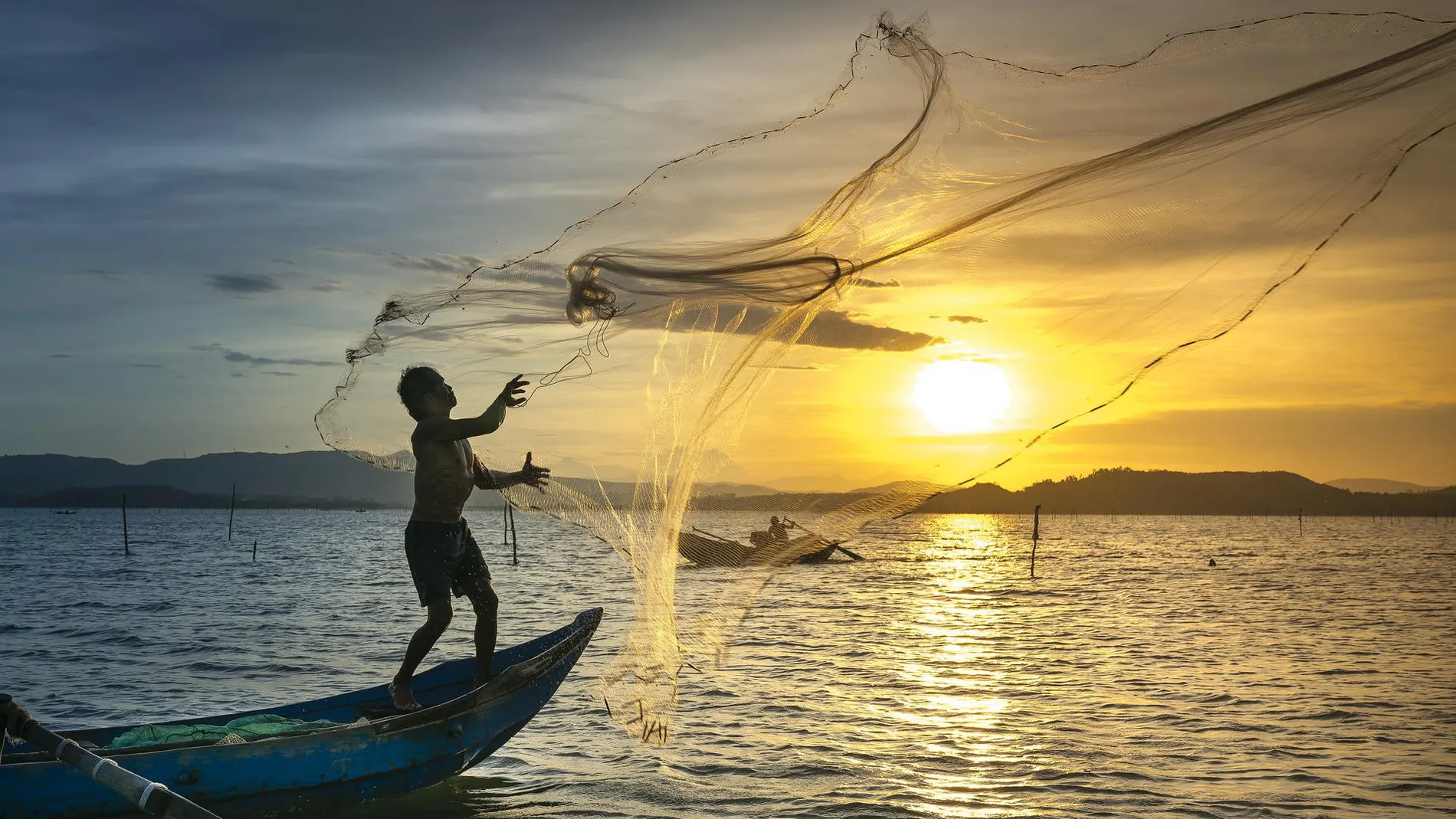 In 2021, China banned fishing in the Yangtze River: four years later, it managed to stop seven decades of biodiversity decline