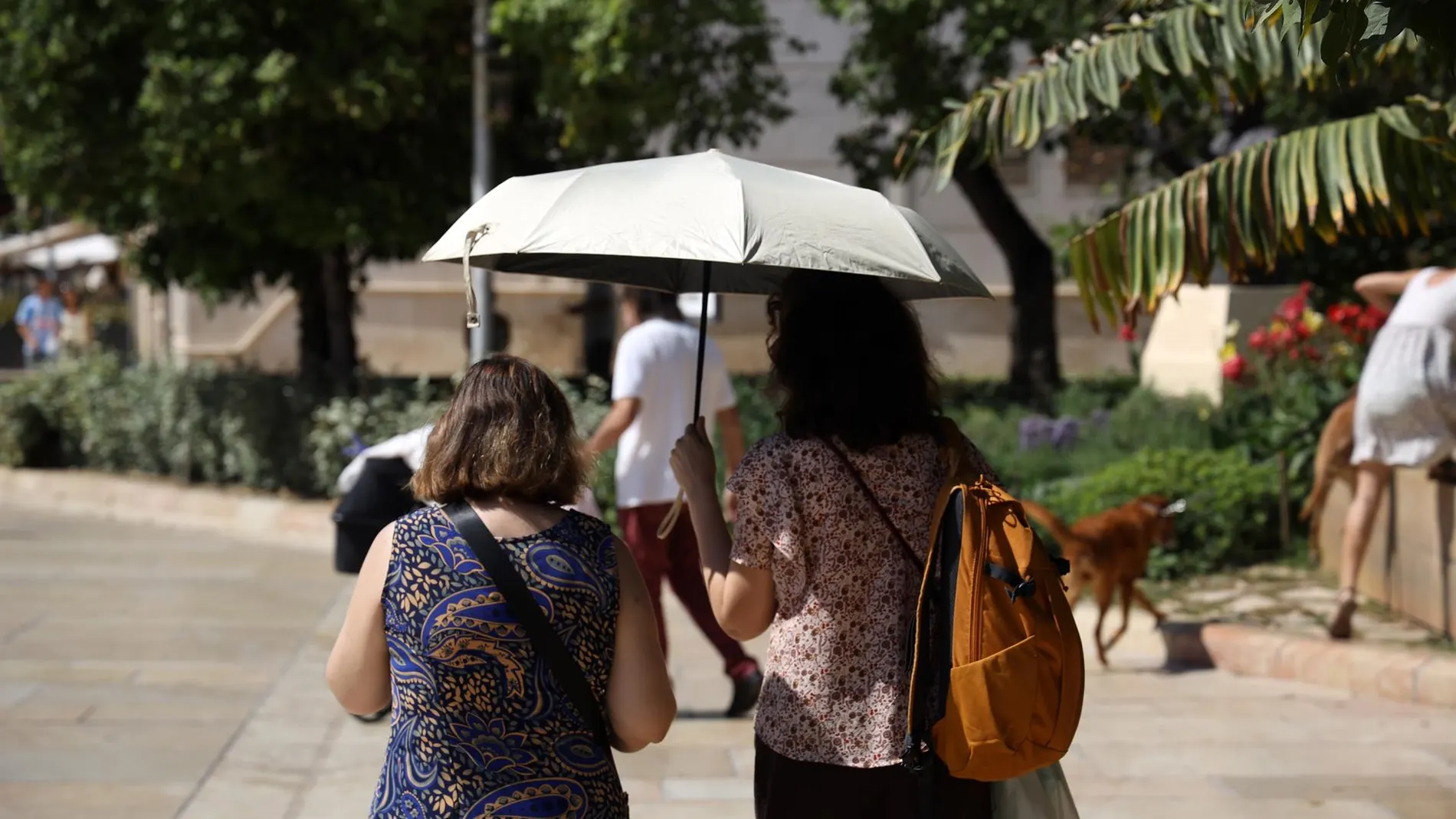 The AEMET alerts the population about the widespread thermal rise expected this Sunday with temperatures of up to 38 degrees in several capitals