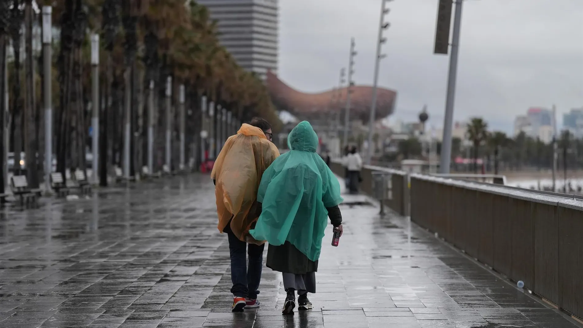 The AEMET predicts very strong showers and storms in the east and the Balearic Islands, while it expects the maximums to rise in practically the entire Peninsula
