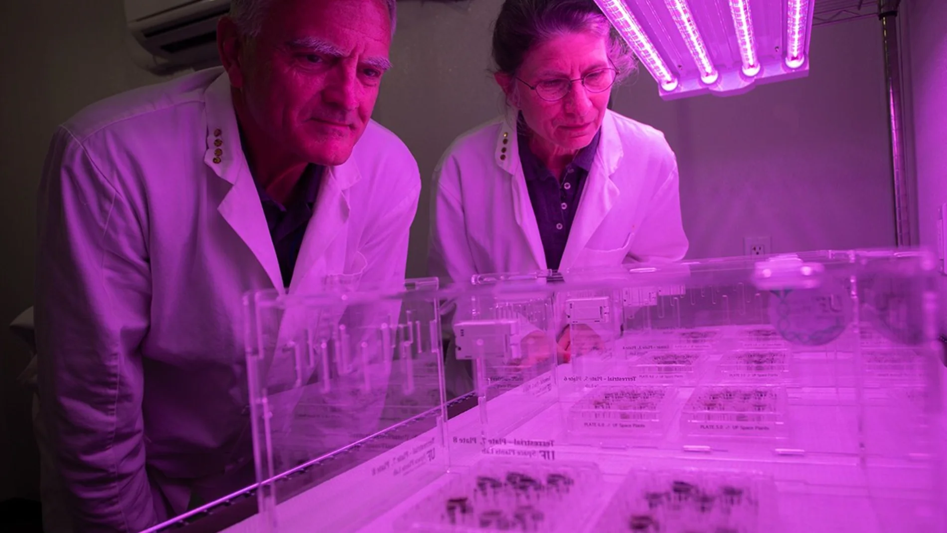 They propose searching the Moon for microscopic remains of alien technology