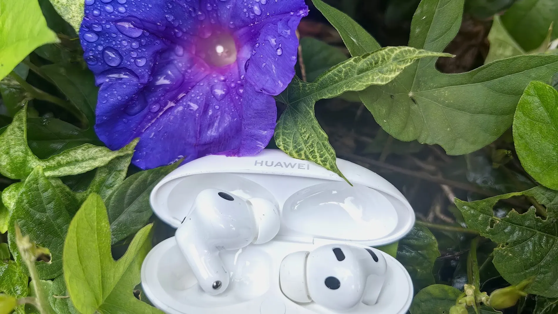 We tested the Huawei FreeBuds Neo: protagonists by nature