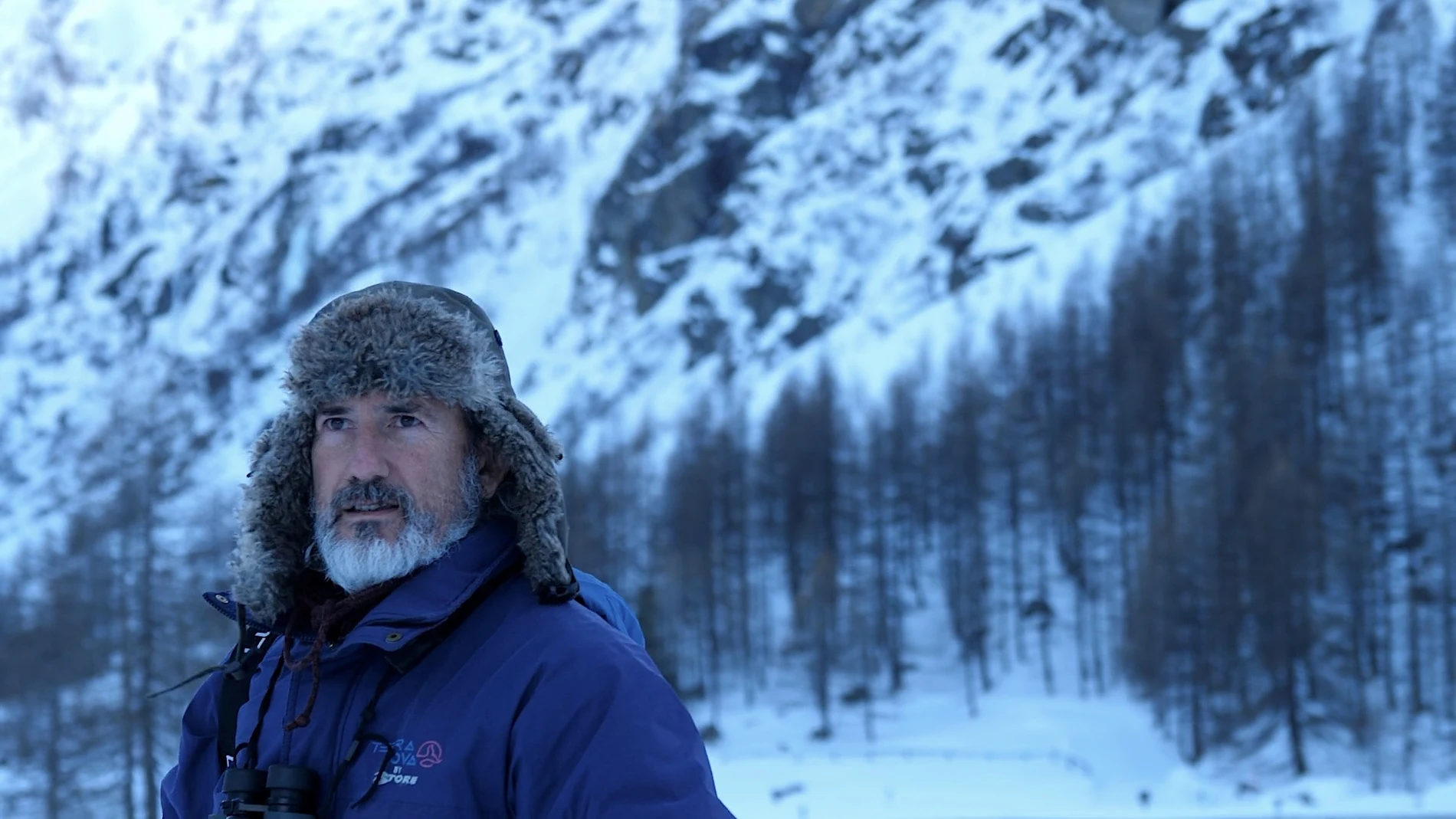 Andoni Canela: «There is a black legend about the wolf, but it is just another animal»