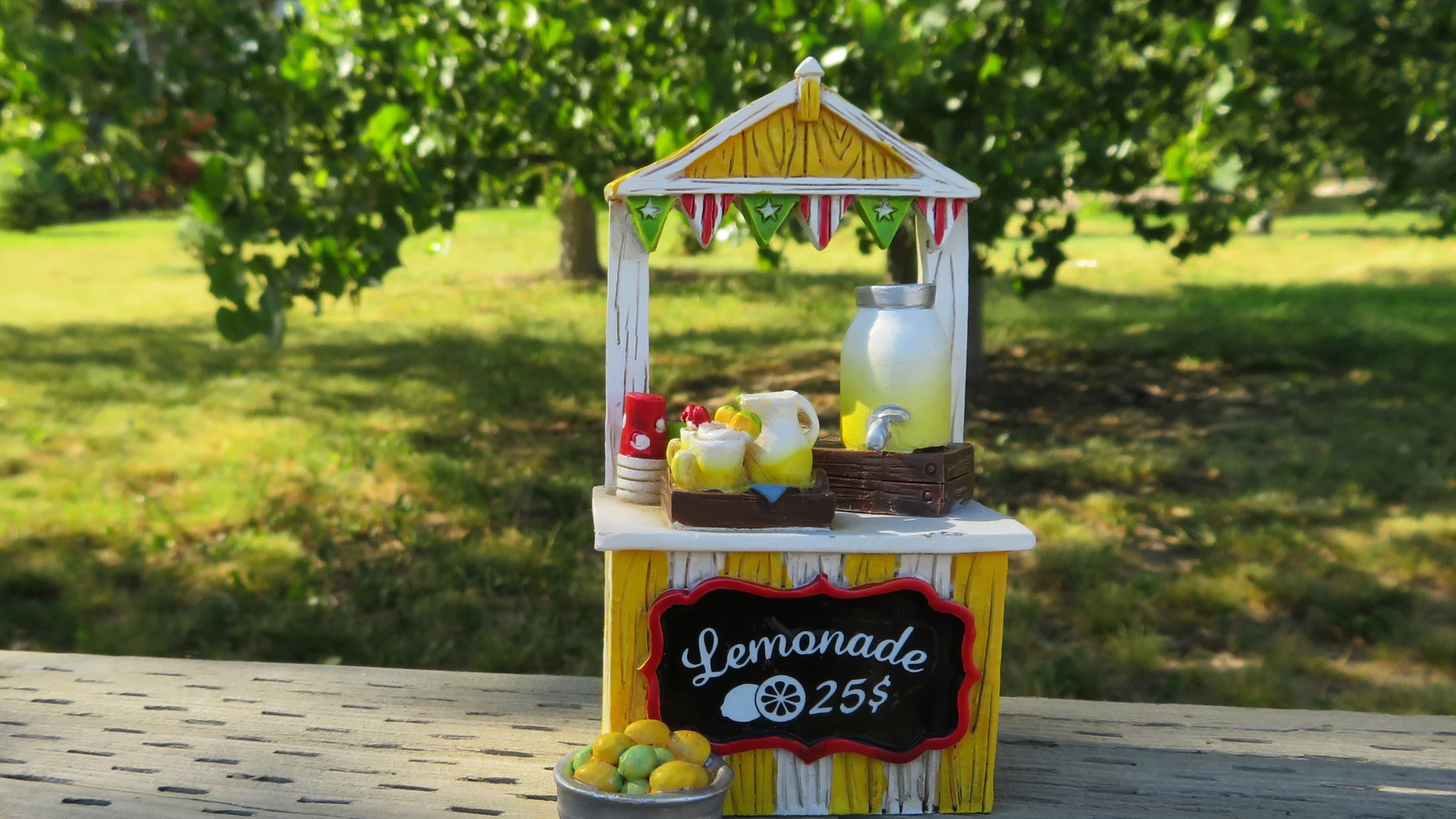 He opened a lemonade stand at the age of 6 to raise money for charity; Seven years later, she and her sister had raised $55,000.