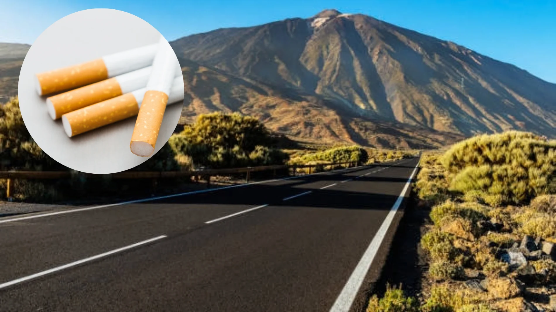 In 2017 they sealed cigarette butts inside the asphalt; The results surprised Australian engineers