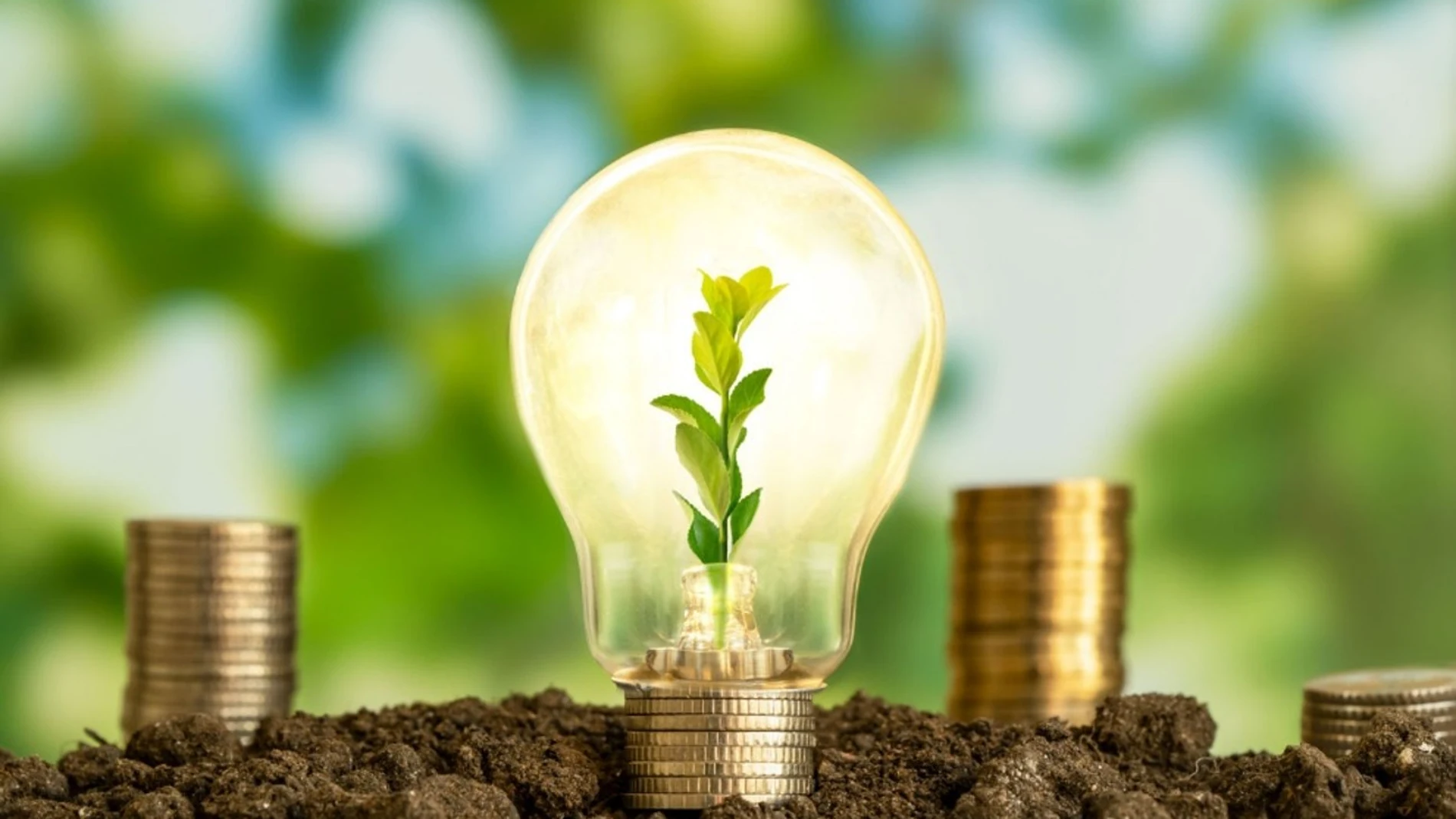 Keys that teach how to combat energy poverty