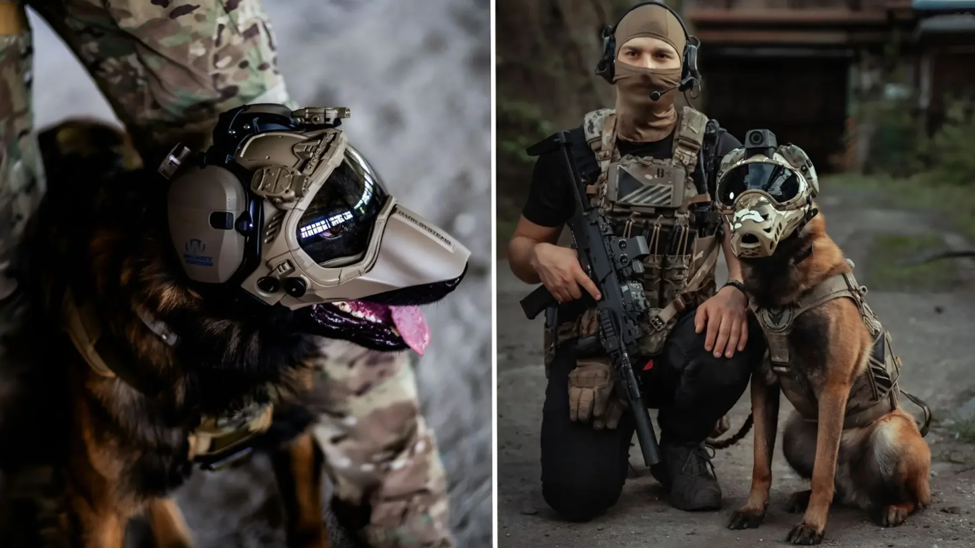 The genetically engineered war dog: the future of the US military