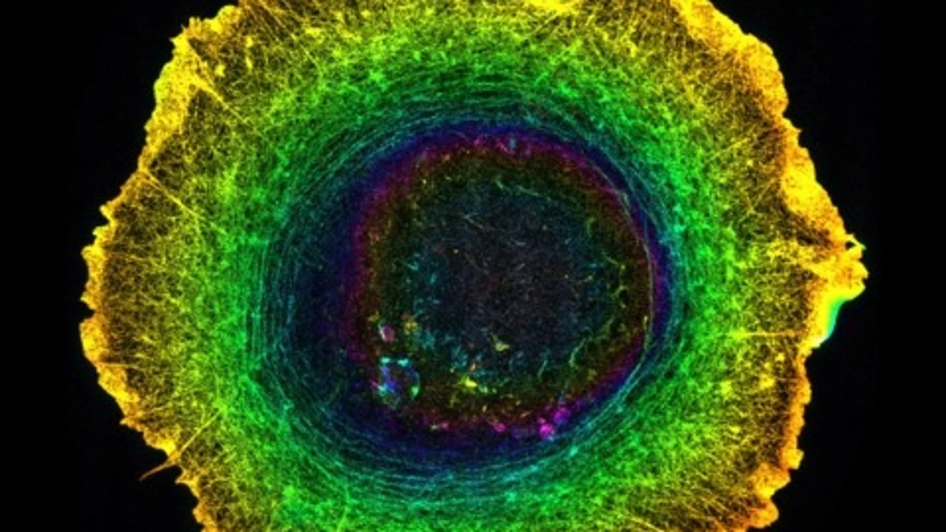 We were wrong: when it comes to searching for extraterrestrial life, only electricity is enough